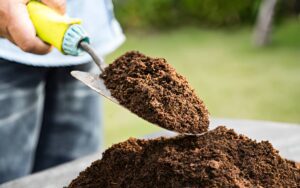 A small shovel lifts soil from a small pile of soil.