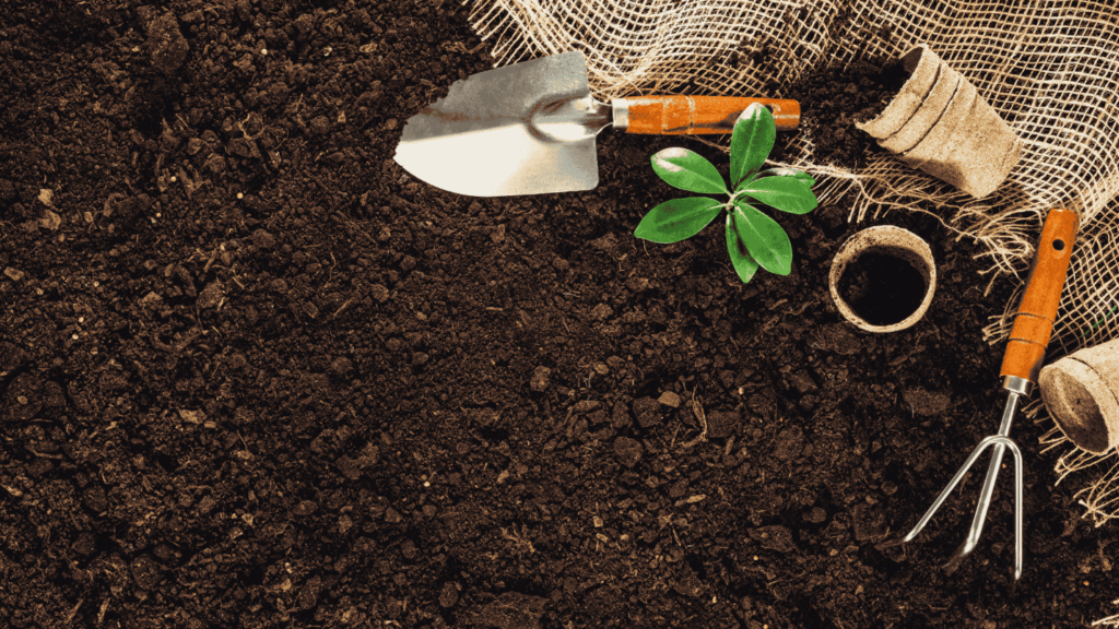 Dark, rich looking soil with a small spade and plant resting atop.